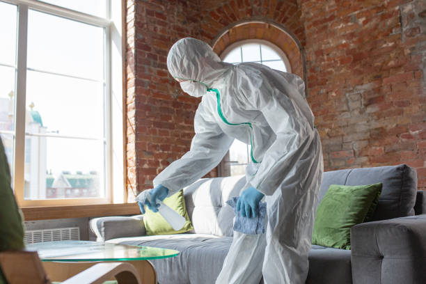 Best Mold Prevention Services  in Waldo, AR